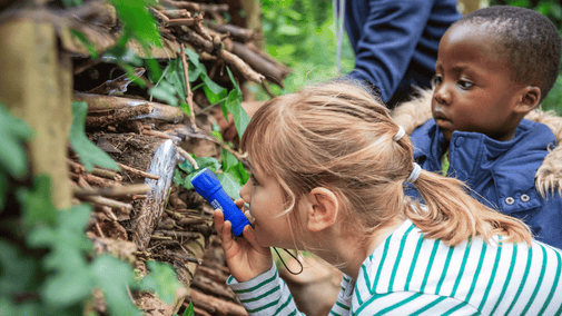 Family taking a closer look at the bug hotel in woodland